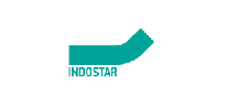 Indostar1 (1)